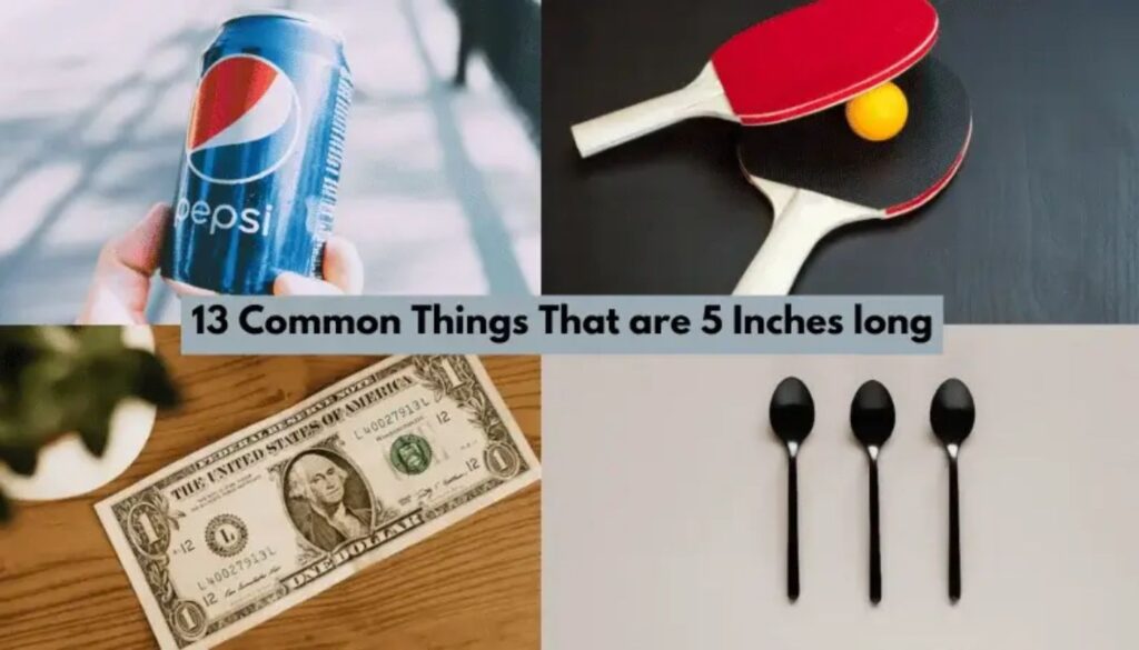 13 Common Things That Are 5 Inches Long