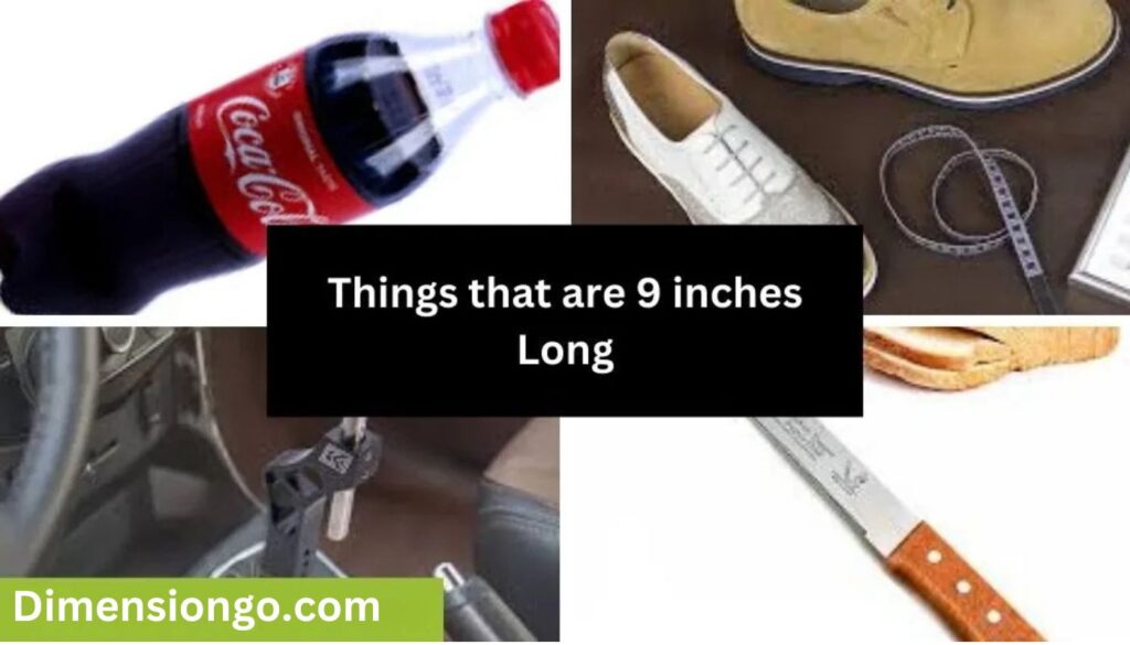 12 Common Things That Are 9 Inches Long (with Pictures)