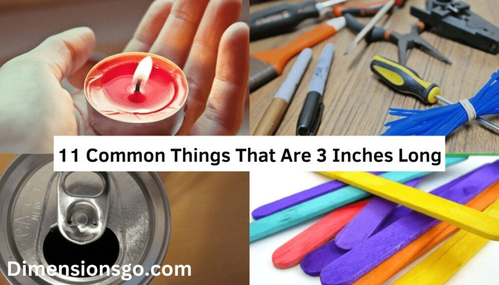 11 Everyday Objects That Are 3 Inches Long (+Pics)