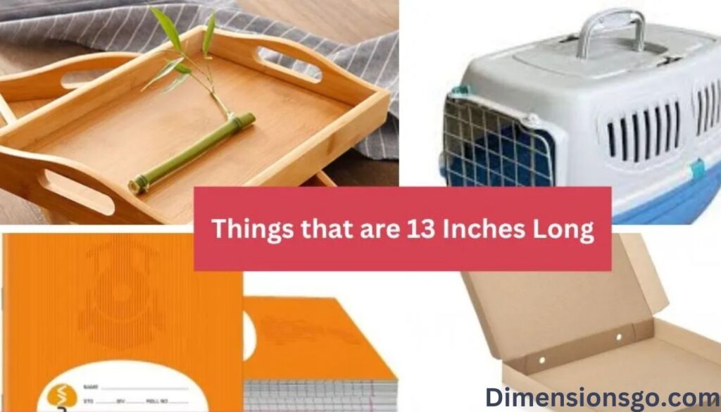 12 Common Things That Are 13 Inches Long (with Pictures)