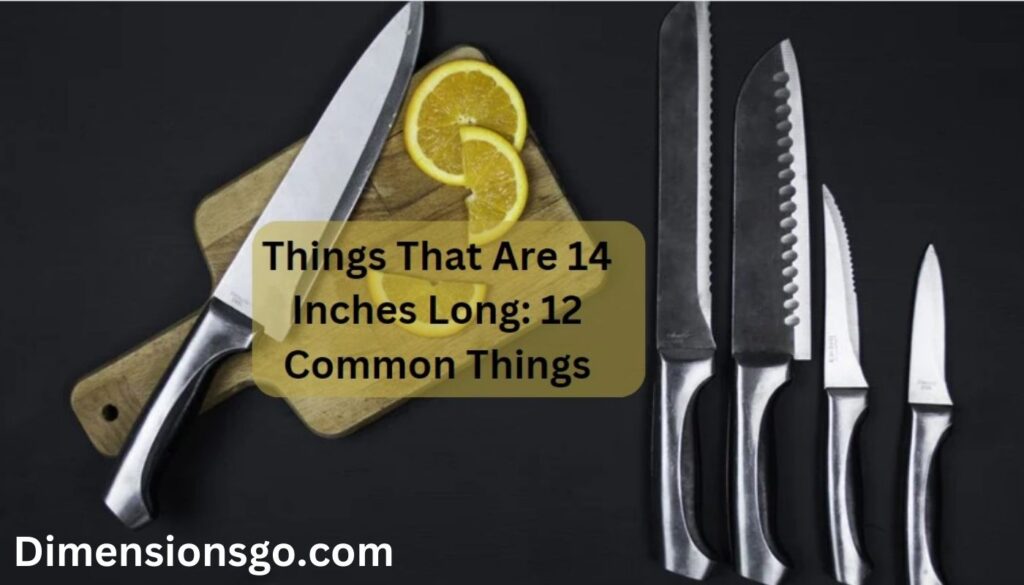 12 Common Things That Are 14 Inches Long (with Pictures)