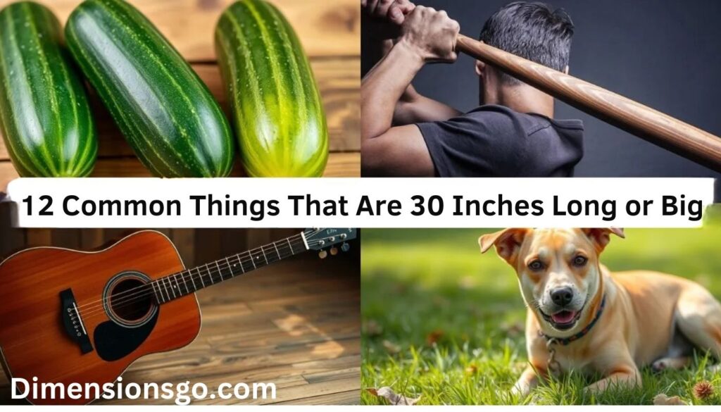 12 Common Things That Are 30 Inches Long or Big (+Pics)