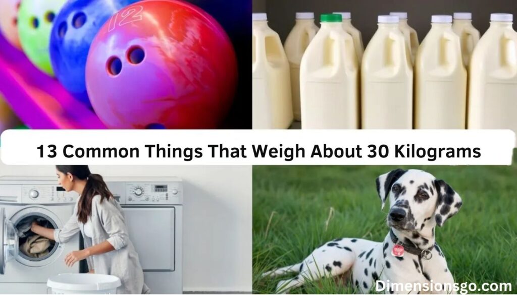 12 Common Things That Are About 40 Centimeters Long