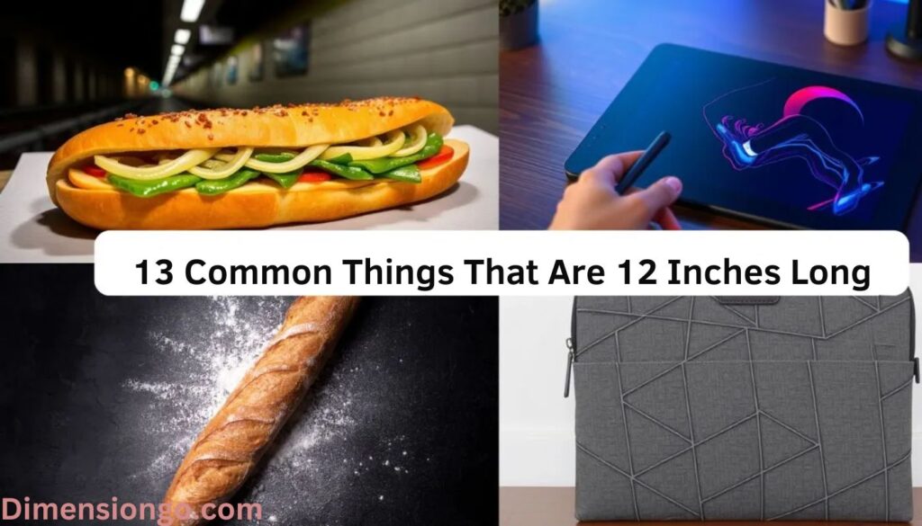 13 Common Things That Are 12 Inches Long (+Pics)