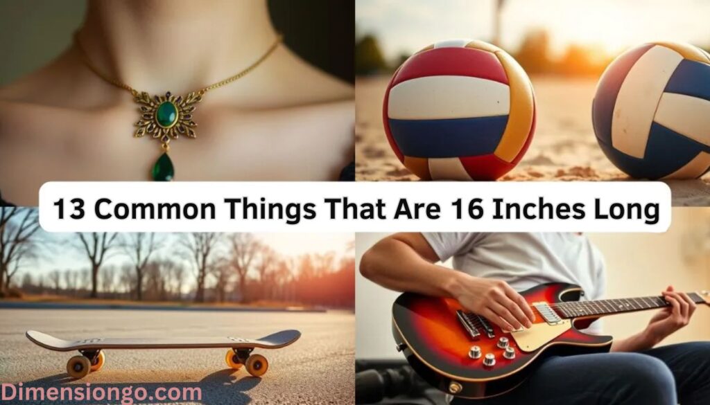 13 Common Things That Are About 16 Inches (in) Long (+Pics)