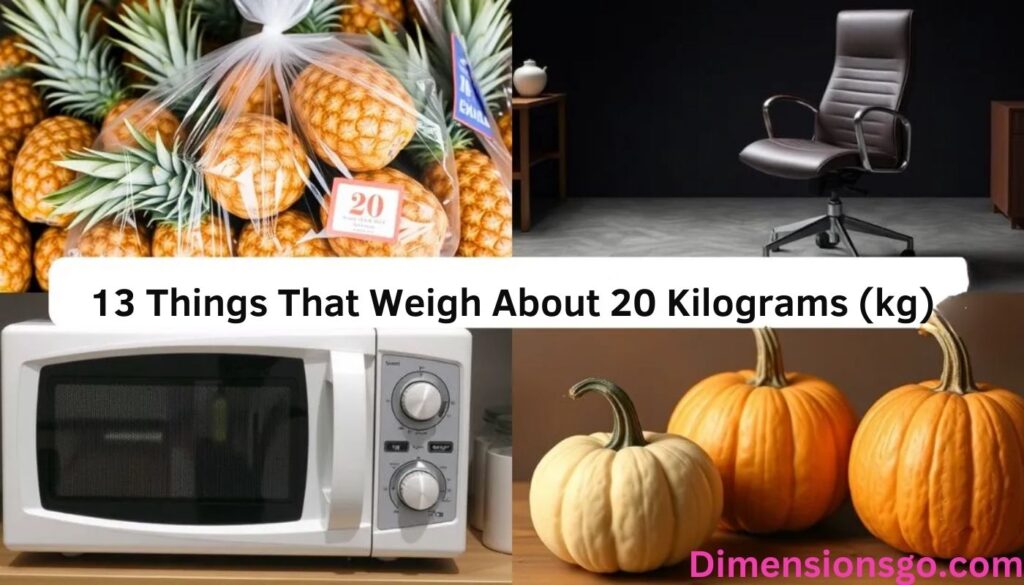 13 Common Things That Weigh About 20 Kilograms (kg)