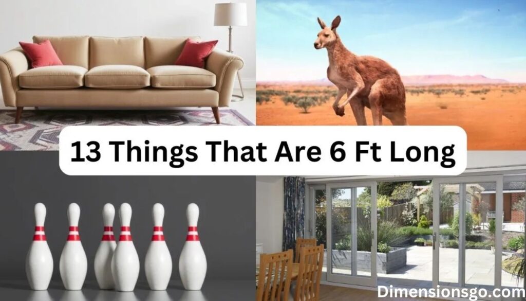 13 Things That Are About 6 Feet (ft) Long (With Visuals)