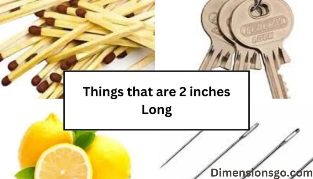 14 Common Things That Are 2 Inches (in) Long