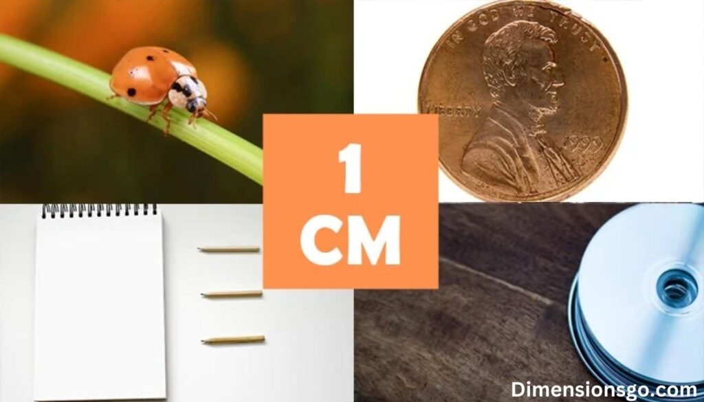 14 Common Things That Weigh 1 Gram