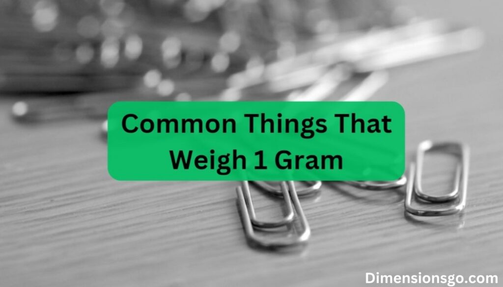 14 Common Things That Weigh 1 Gram