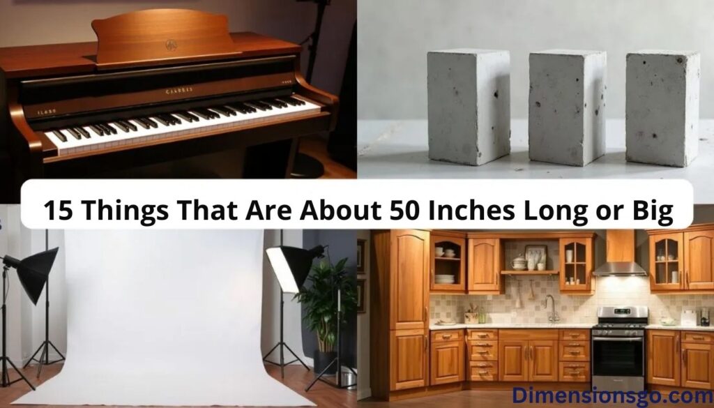 15 Things That Are About 50 Inches (in) Long or Big