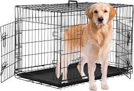 A Medium Dog Crate